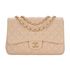 Chanel Jumbo Single Flap, front view